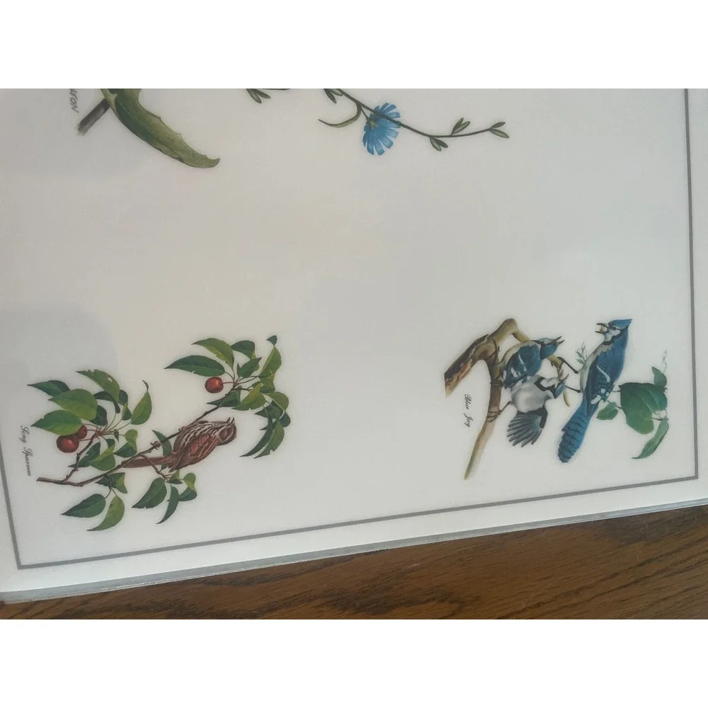 Vintage Roger Tory Peterson Songbird Placemats Set of 6 Nature Bird Art Decor